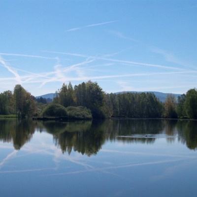 风云体育官方APP网址