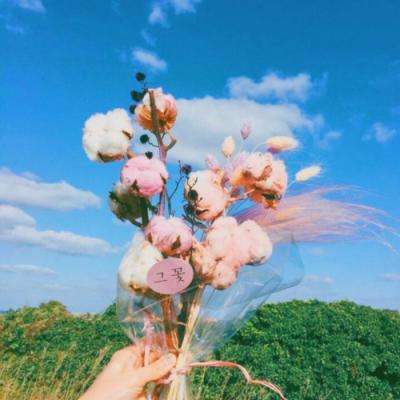 皇冠·app(中国)下载官方版app下载截图