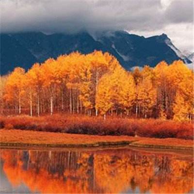 谁有正规万博网址