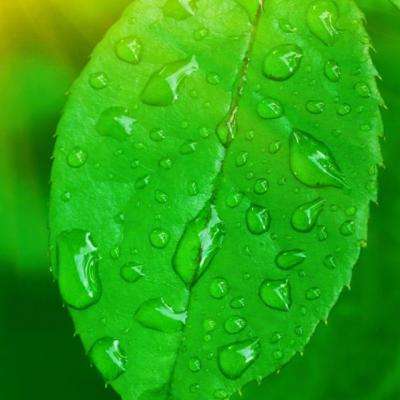 Kaiyun(云开)体育App(官方)下载手机版